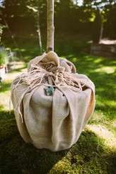 Midsummer Black Wedding Dress in Devon_Green Antlers Photography  17