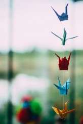 Rosie & Robins Rainbows – Simon Dewey 068