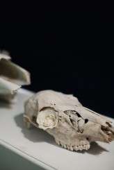 all black themed wedding37