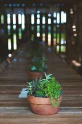 barnwedding_nikitagross008