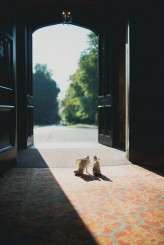 emmy and chris_Kari Bellamy Photo (7 of 613)