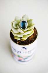 View More: http://wwwallisonwonderlandphotographie.pass.us/kirsten-burak-wedding