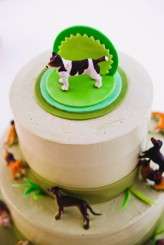 View More: http://wwwallisonwonderlandphotographie.pass.us/kirsten-burak-wedding