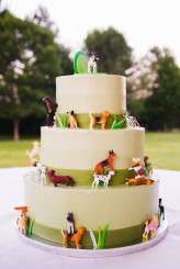 View More: http://wwwallisonwonderlandphotographie.pass.us/kirsten-burak-wedding