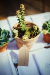 quirky-eden-project-wedding-photography-bethan-rob-1053