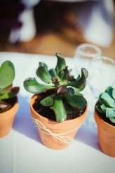 quirky-eden-project-wedding-photography-bethan-rob-1056