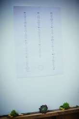 quirky-eden-project-wedding-photography-bethan-rob-1232