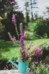 suziemarc_katiefarrellphotography-32