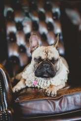 suziemarc_katiefarrellphotography-61