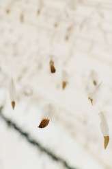 Caro Weiss Photography Fiona and Mike-88