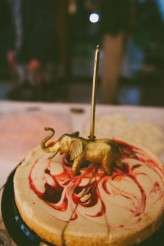 DIYWedding_TegaPhotography (396 of 505)