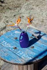 DayOfTheDeadWedding_JackiBruniquel_086