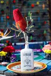 DayOfTheDeadWedding_JackiBruniquel_111