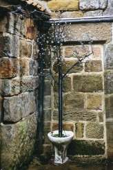 Tamar & Nick_John Hope Photography_010