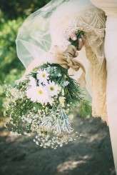 big_trees_state_park_277