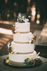 big_trees_state_park_281