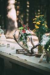 big_trees_state_park_297