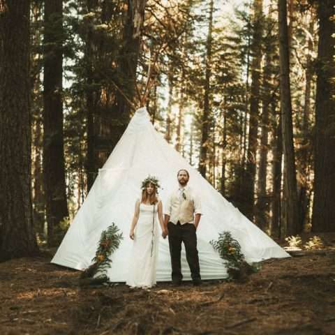 big_trees_state_park_347