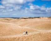 lindsey&ned-lakshalperera-211