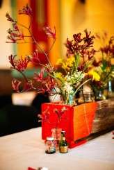 lindsey&ned-lakshalperera-229