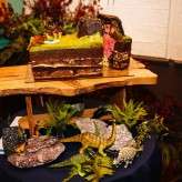 lindsey&ned-lakshalperera-316