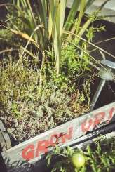 April and Dennis_My Beautiful Bride-5b