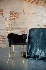 Halloween-Styled-Shoot-April-+-Paul-Photography-26