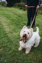 LitaCarolIsleofJura_ZoeCampbellPhotography-323