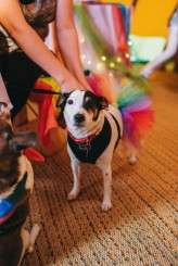 LitaCarolIsleofJura_ZoeCampbellPhotography-396