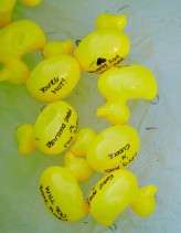 red and white reto lesbian wedding18