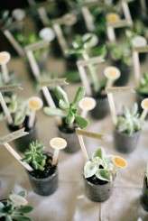 rustic nature autumn same sex wedding1