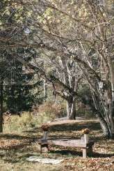 rustic nature autumn same sex wedding32