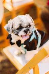 ajayejayrockingcivilwedding_quirkycreatives 47