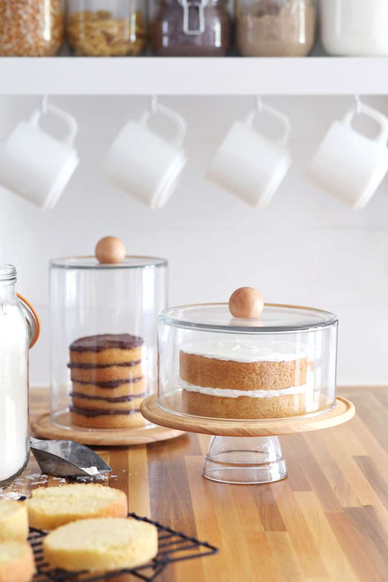 diy cake domes