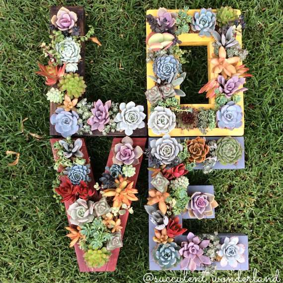 letter succulent planter