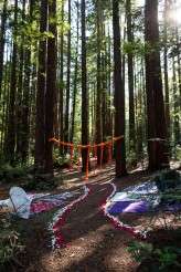 oakland california wedding by dustin cantrell (6)