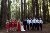 redwood wedding photos by dustin cantrell (7)