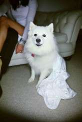 casual wedding of Layla Anna-Lee (33)