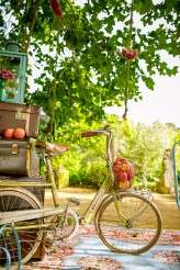 colourful spanish orchard wedding (12)