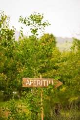 colourful spanish orchard wedding (2)