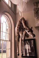 taxidermy and alternative wedding at Aynhoe park (8)