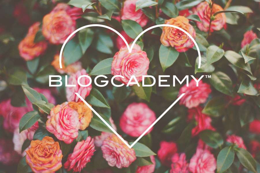 BLOGCADEMY_VDAY_4