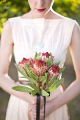 Back garden Vow renewal_Niki M photography028