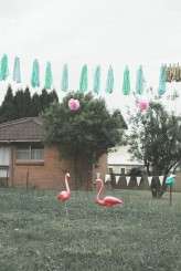 Backyard Wedding_Angela Rose Photography-244