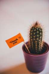 Colourful mexican themed wedding (44)