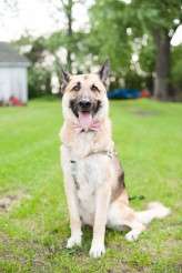 farmhouse-elope_candicebenjamin_0218