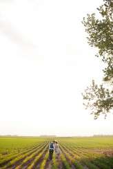 farmhouse-elope_candicebenjamin_0838