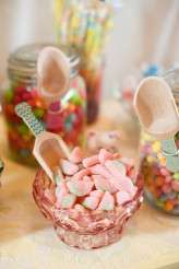 farmhouse-elope_candicebenjamin_1015