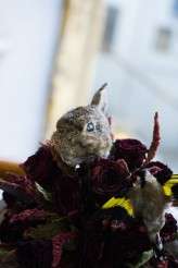 Alice in Wonderland on acid (87)