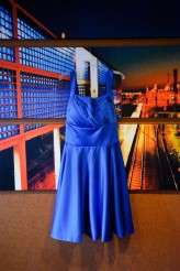 Doctor Who wedding (1)